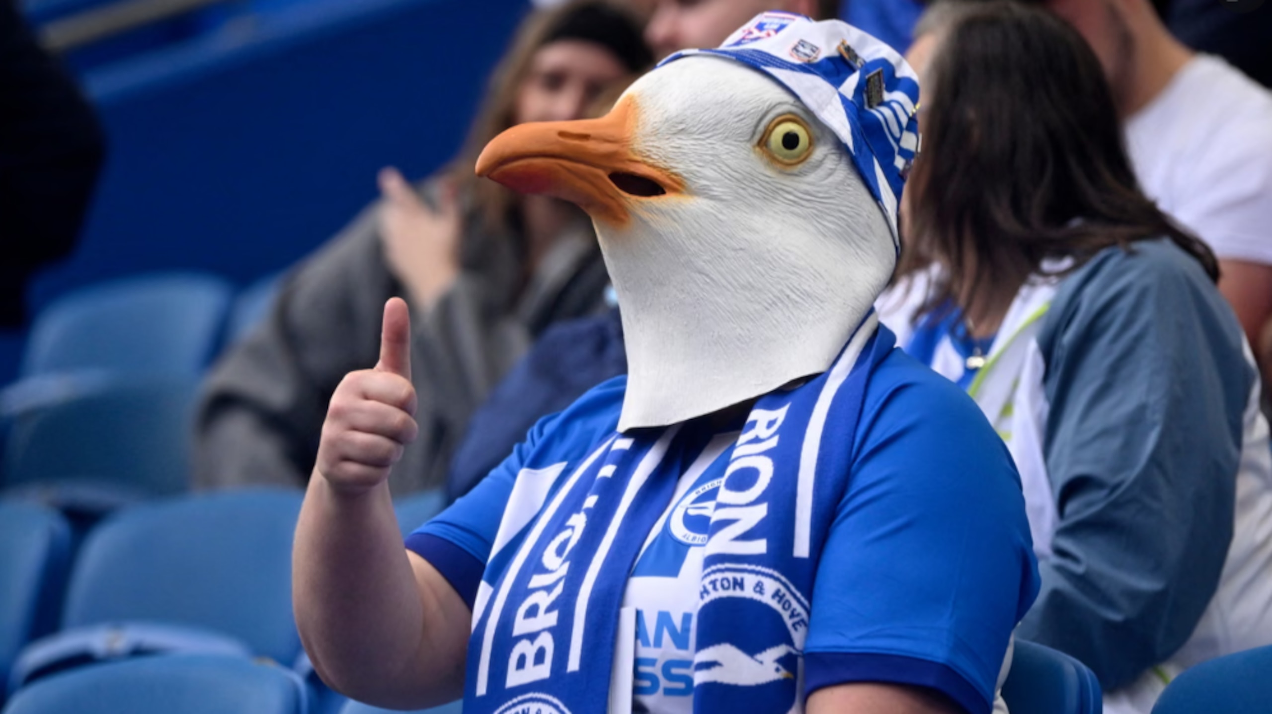 EPL Fans Review Season So Far 👍