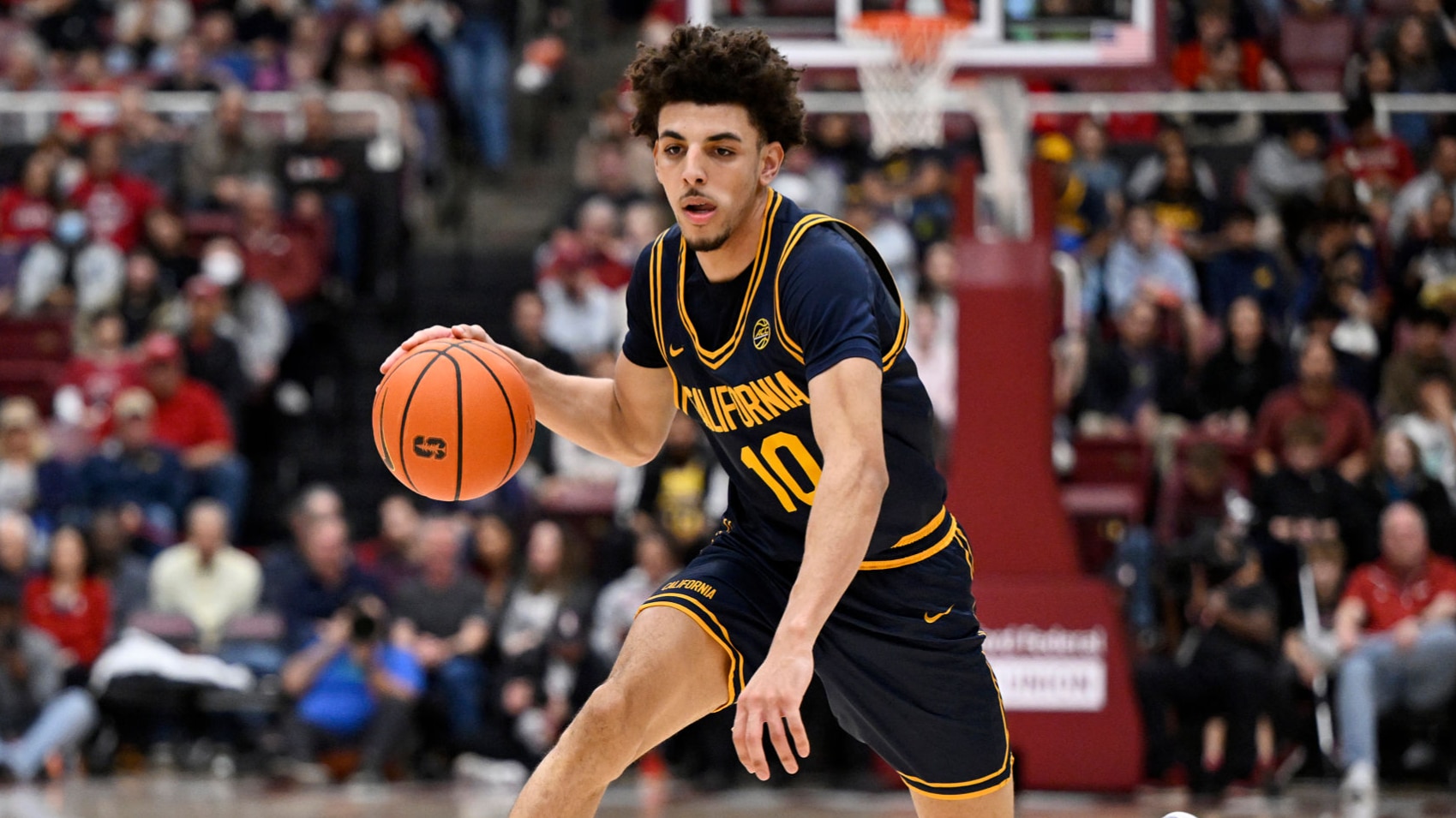 Stock Watch for Bubble Teams 🫧