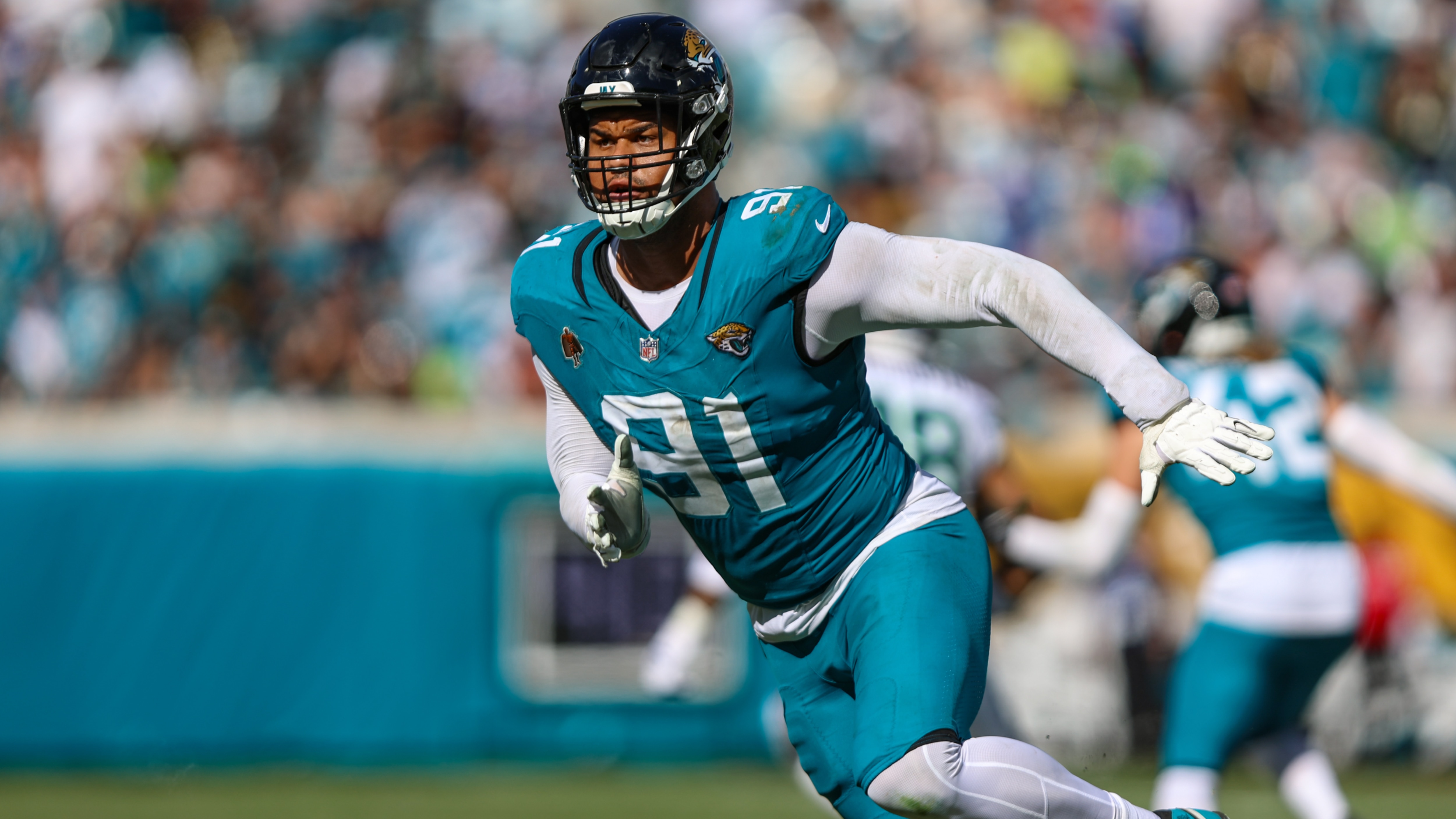 Vikings Lions Football