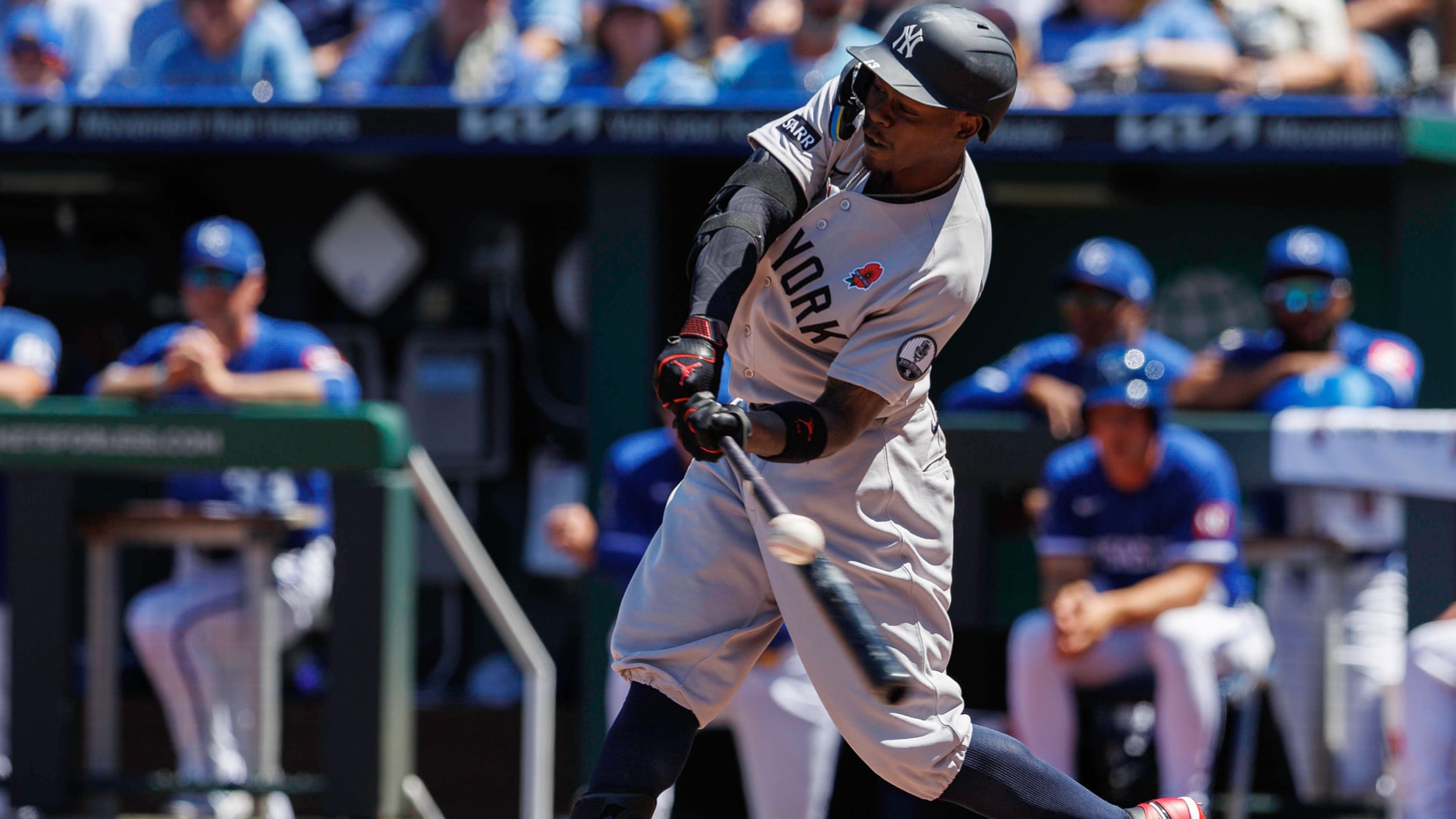 MLB: MAY 24 Rays at Yankees