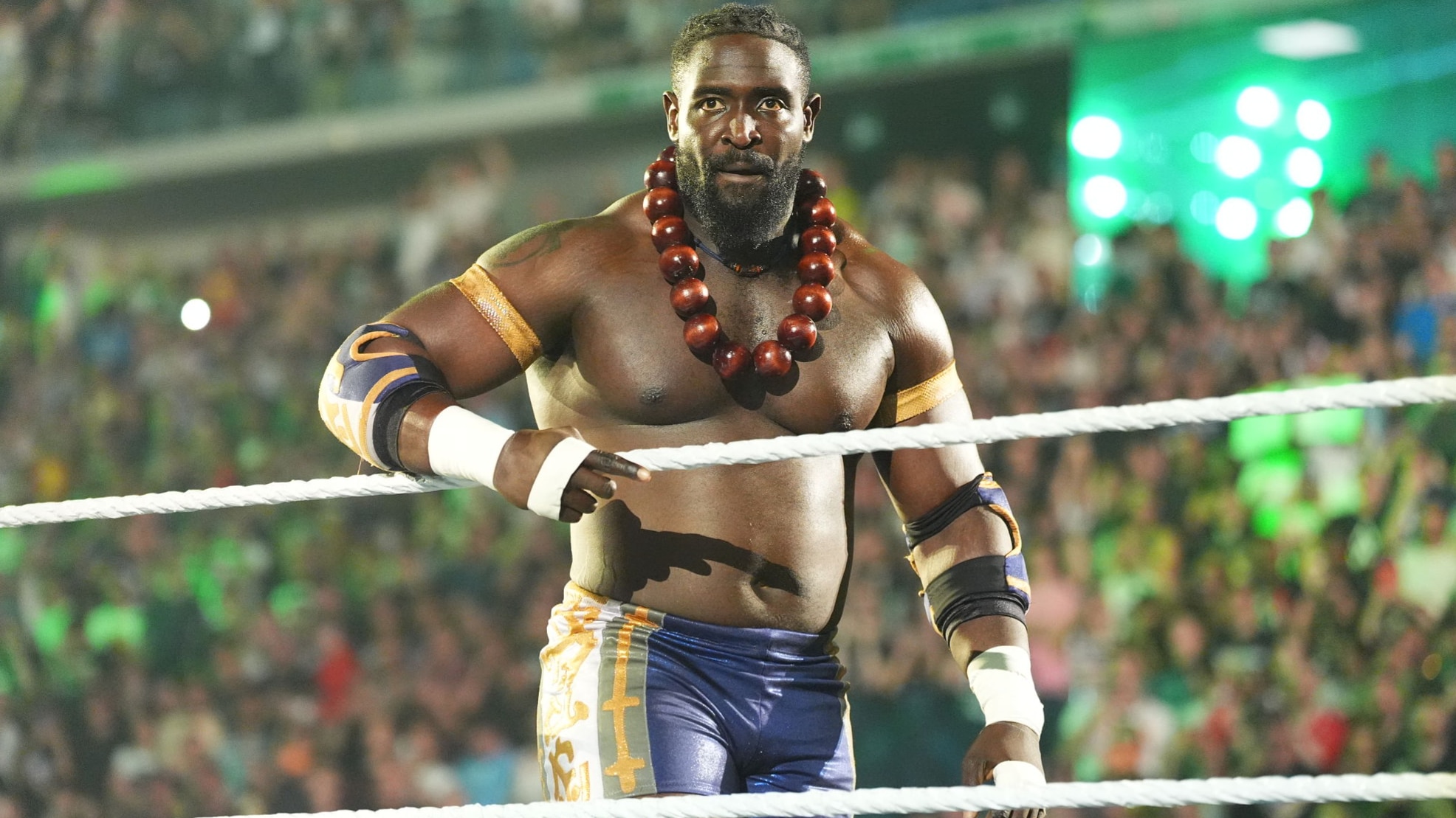 WWE: Saturday Night's Main Event