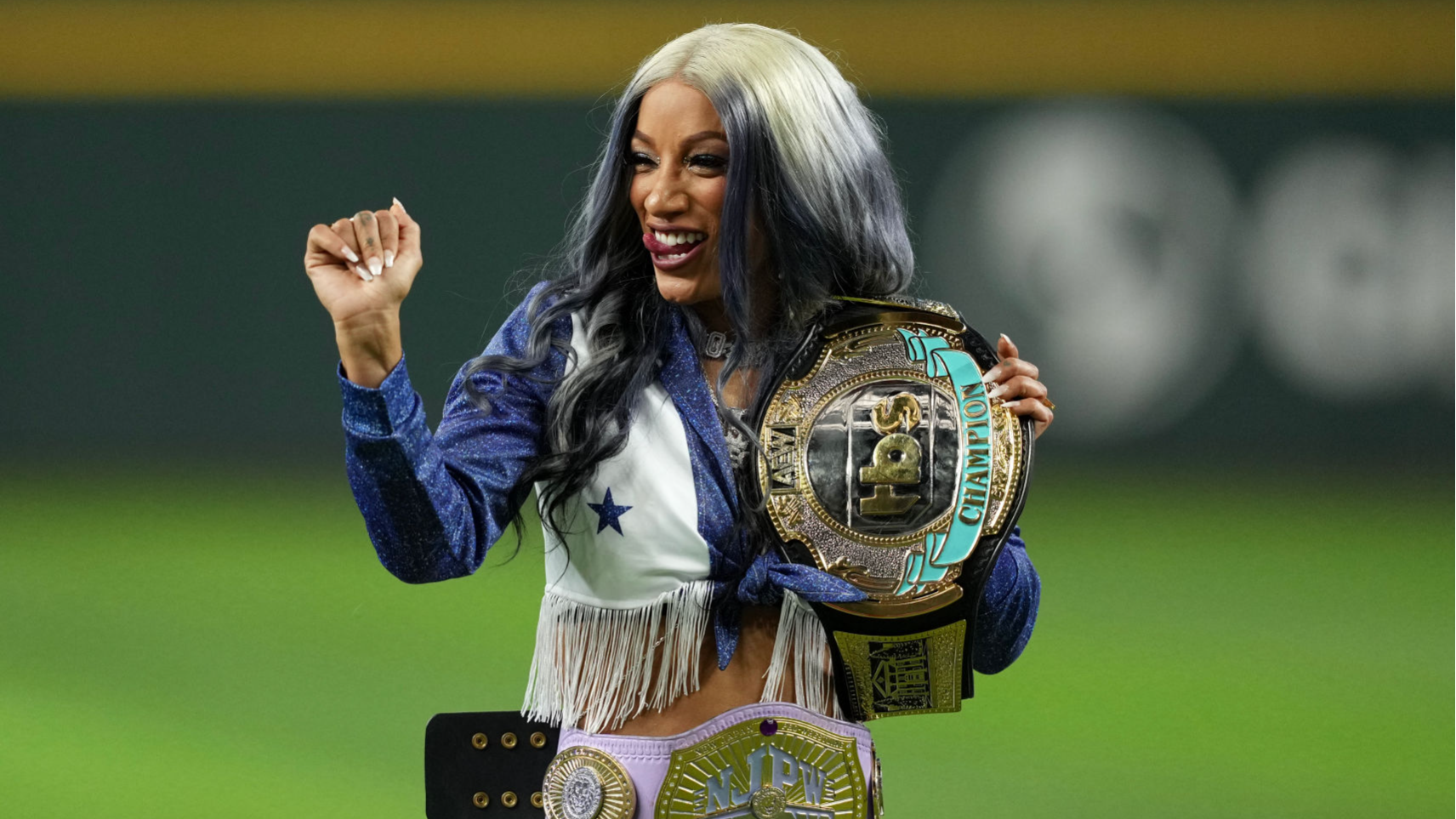 WrestleMania 41