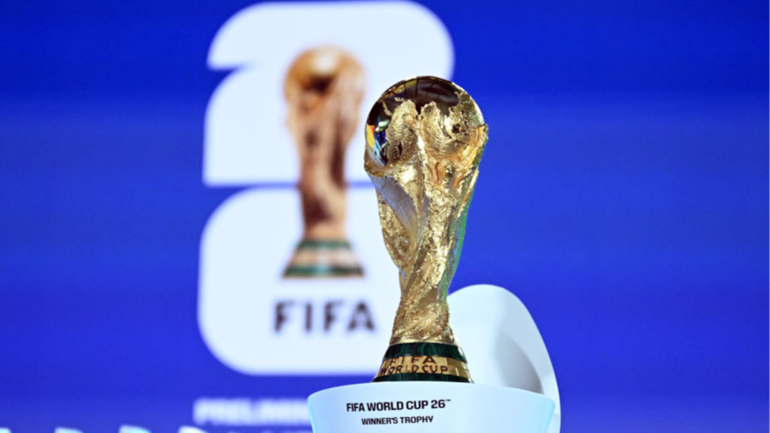 World Cup Favorites 🤩 World Cup Favorites 🤩
