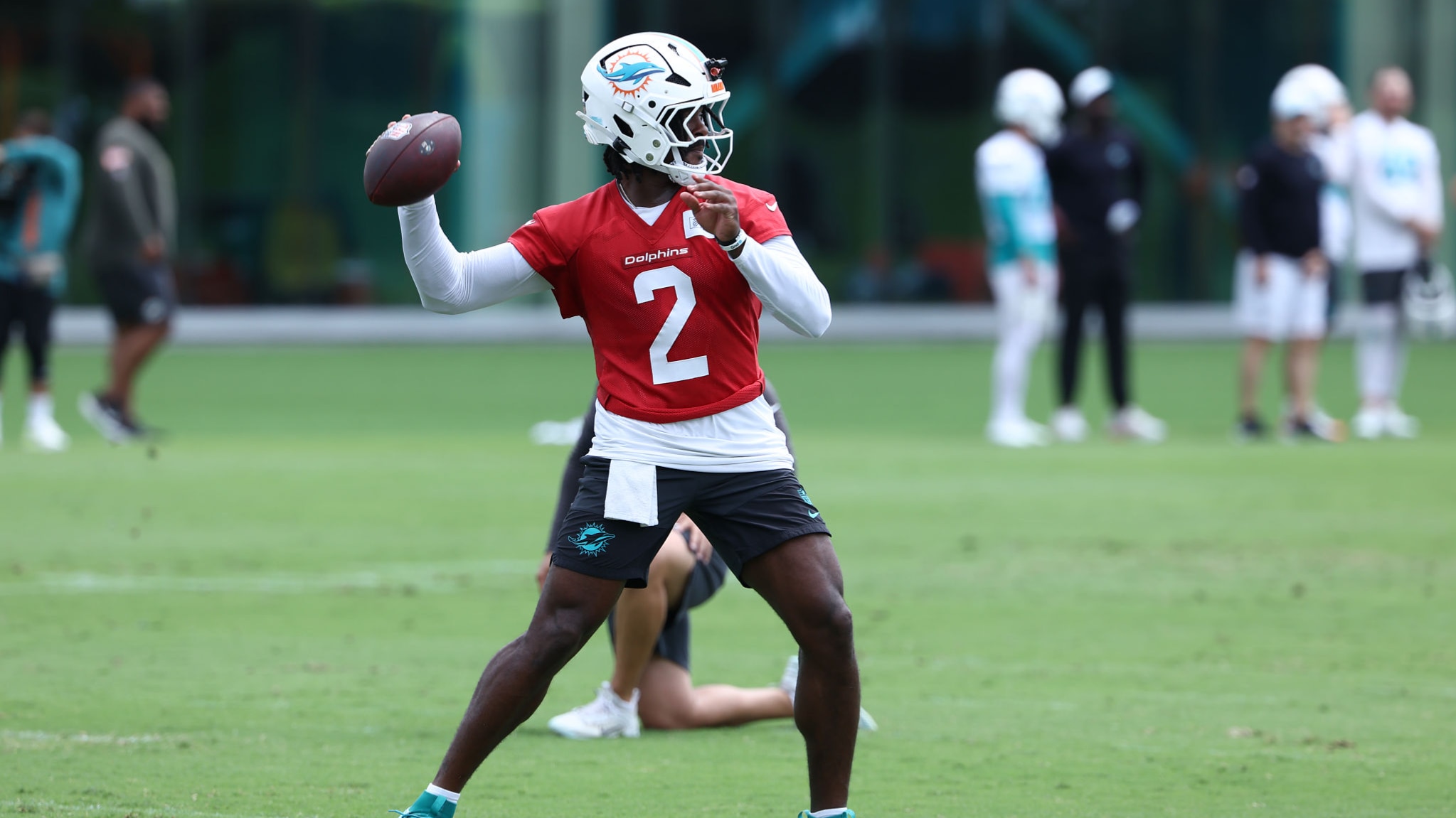 Dolphins' Super Bowl Window Dolphins' Super Bowl Window