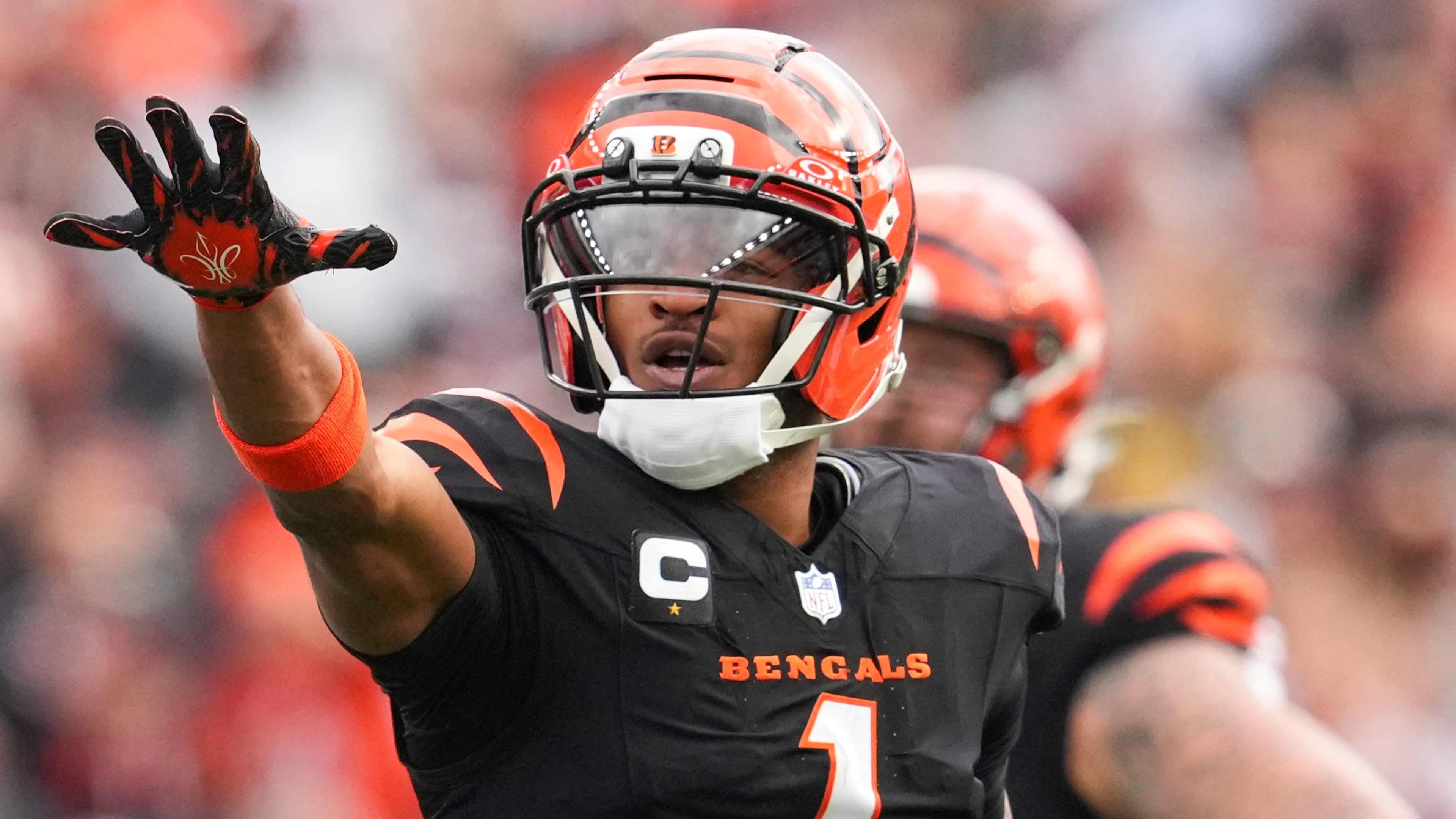 Cardinals Bengals Football