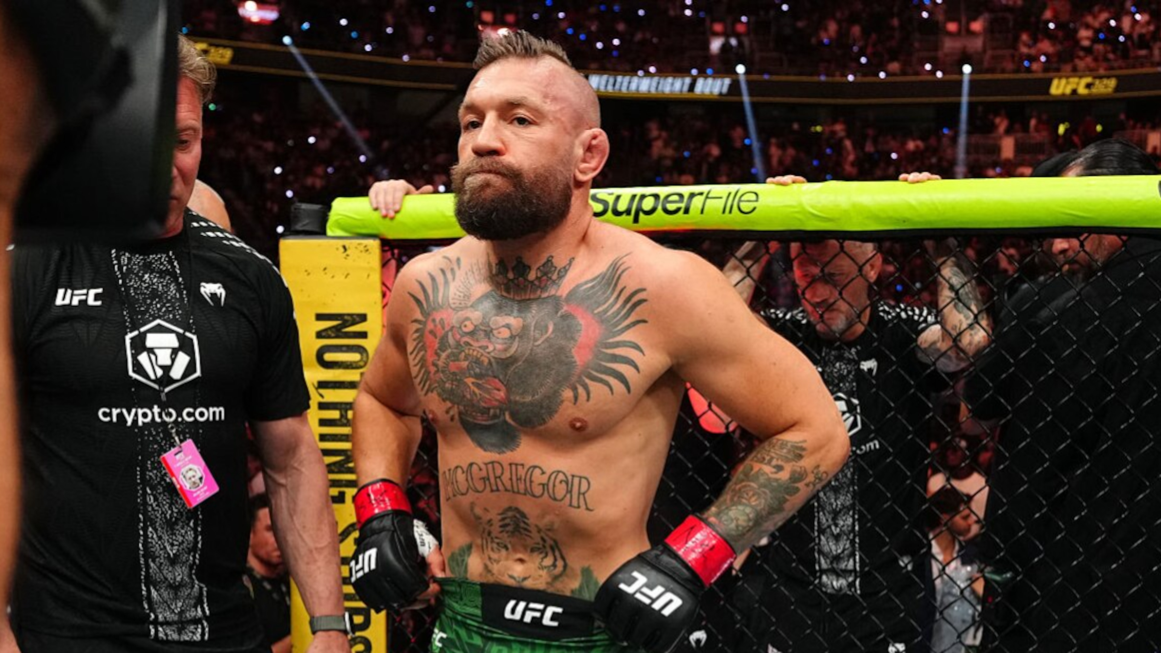 UFC 329: McGregor v Holloway 2