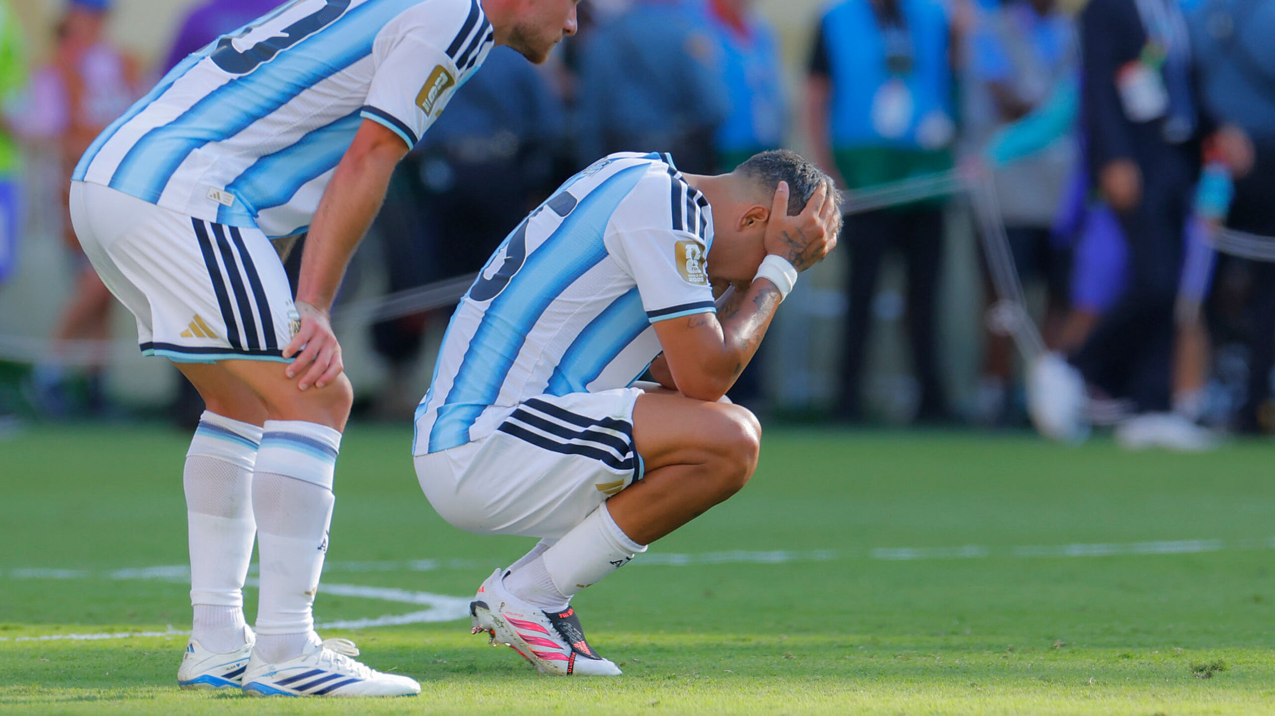 World Cup Winners/Losers 🎭 World Cup Winners/Losers 🎭