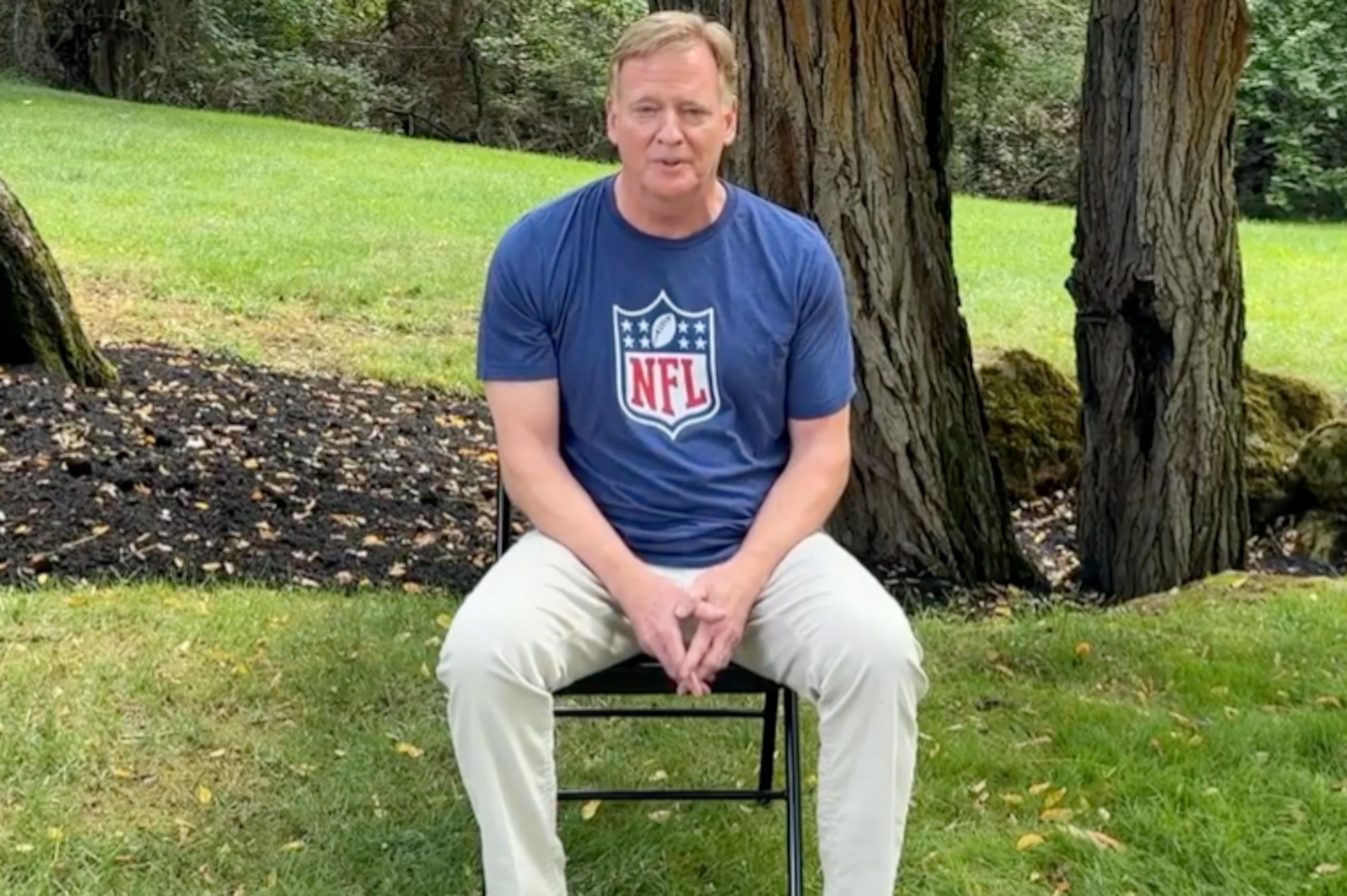 Goodell Supports Chris Johnson